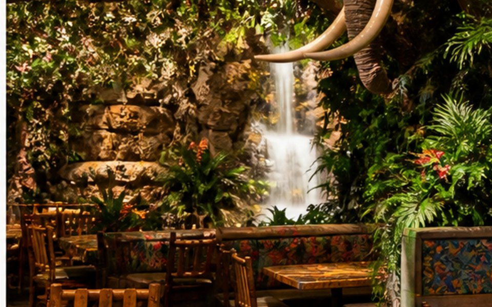 Rainforest Cafe editorial mood illustration for Las Vegas