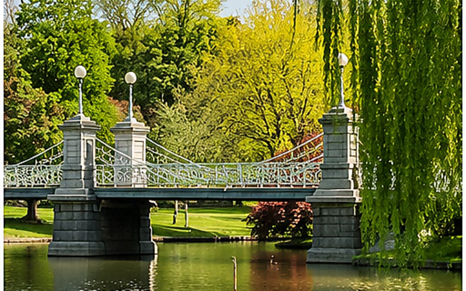 Public Garden editorial mood illustration for Boston